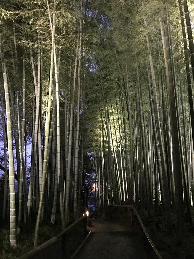Sakuraya-Inn Осака Экстерьер фото